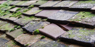 Clay Hill roof repair costs